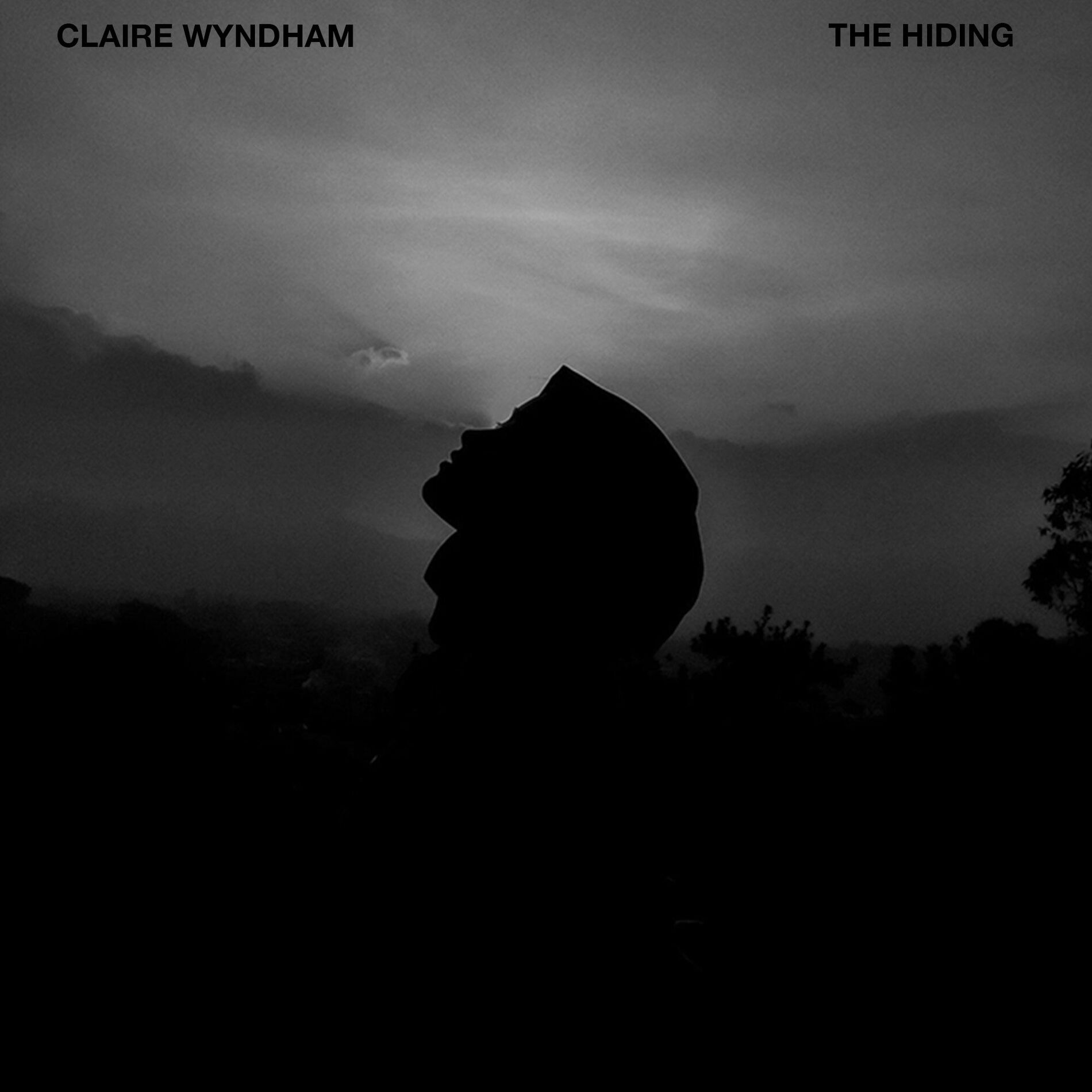 Album cover of The Hiding