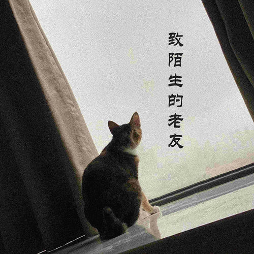 致陌生的老友