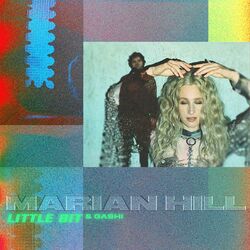 Cover of little bit