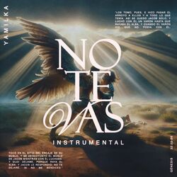 Cover of No Te Vas (Instrumental)