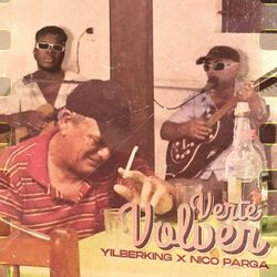 Cover of Verte Volver