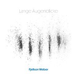 Cover of Lange Augenblicke