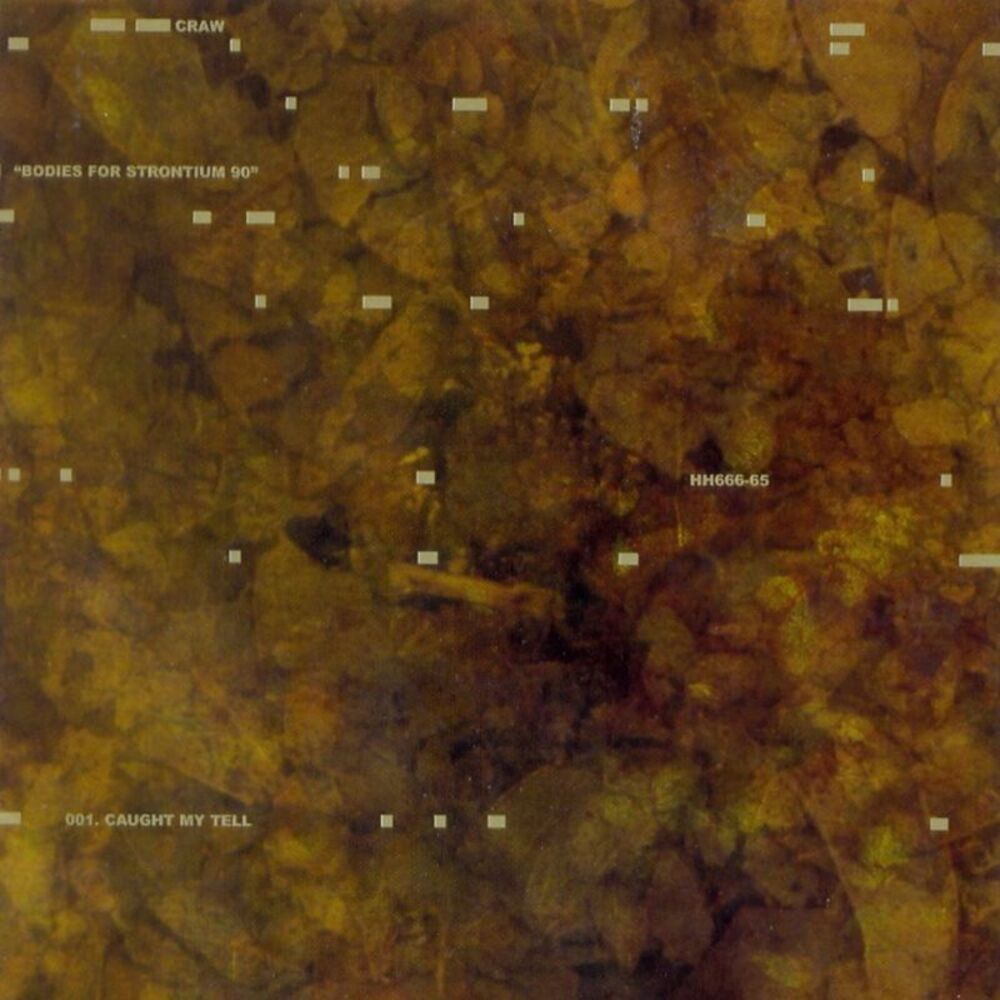 Picture of Bodies For Strontium 90
