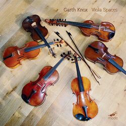 Cover of Viola Spaces