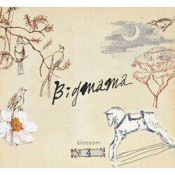 Cover of Blossom