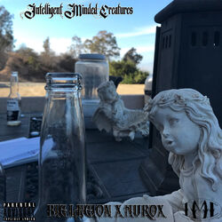 Cover of Intelligent Minded Creatures