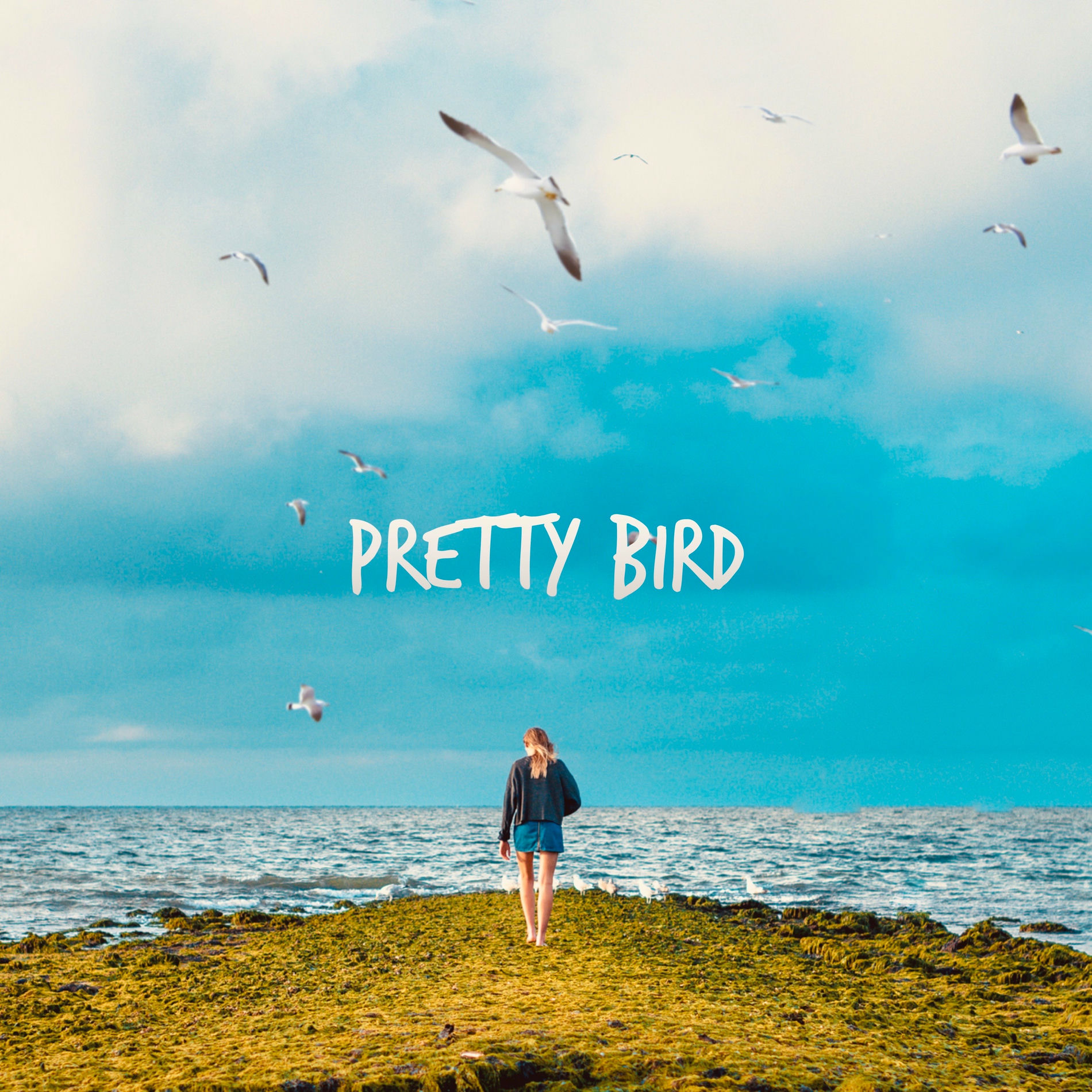 Album cover of Pretty Bird