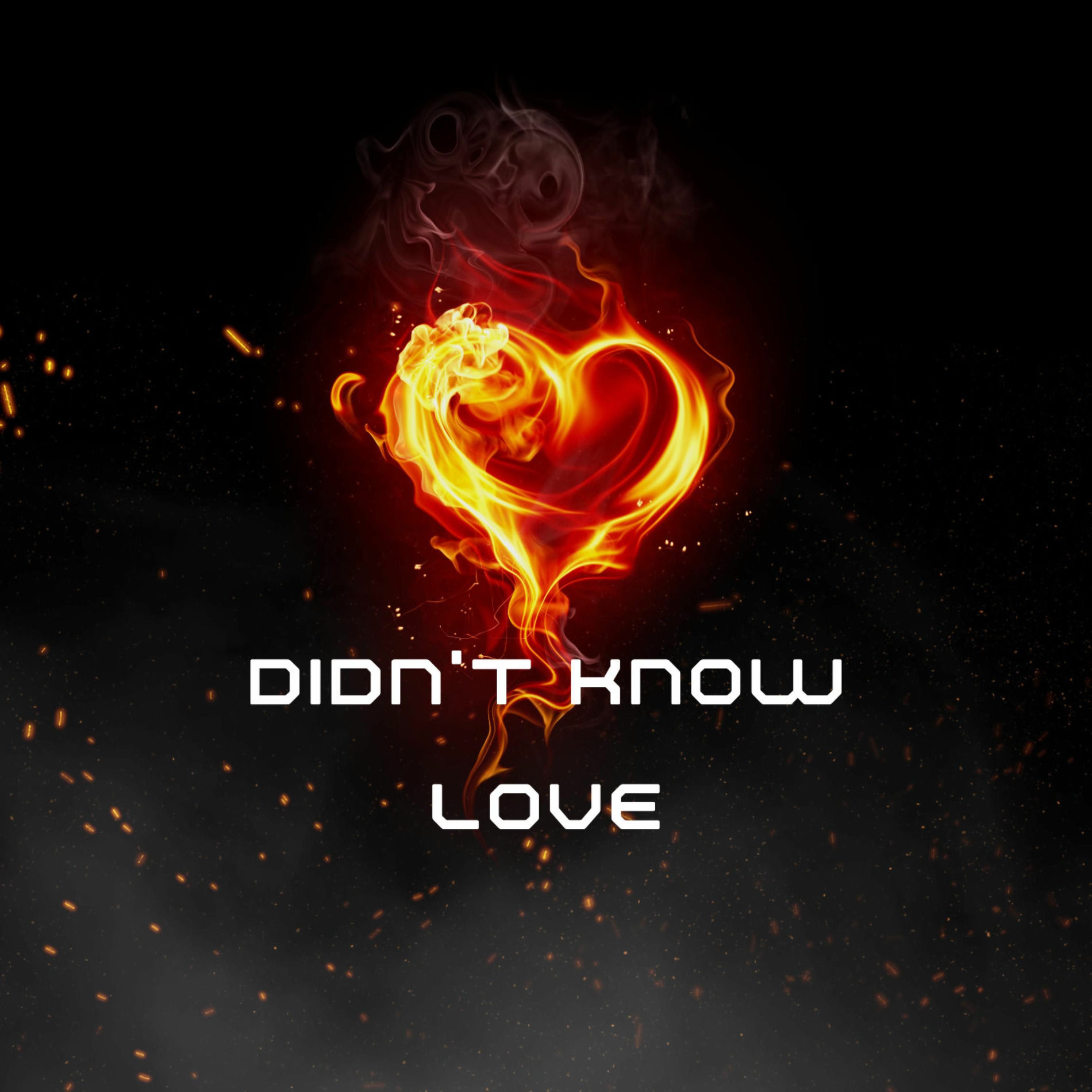 Album cover of Didn't Know Love
