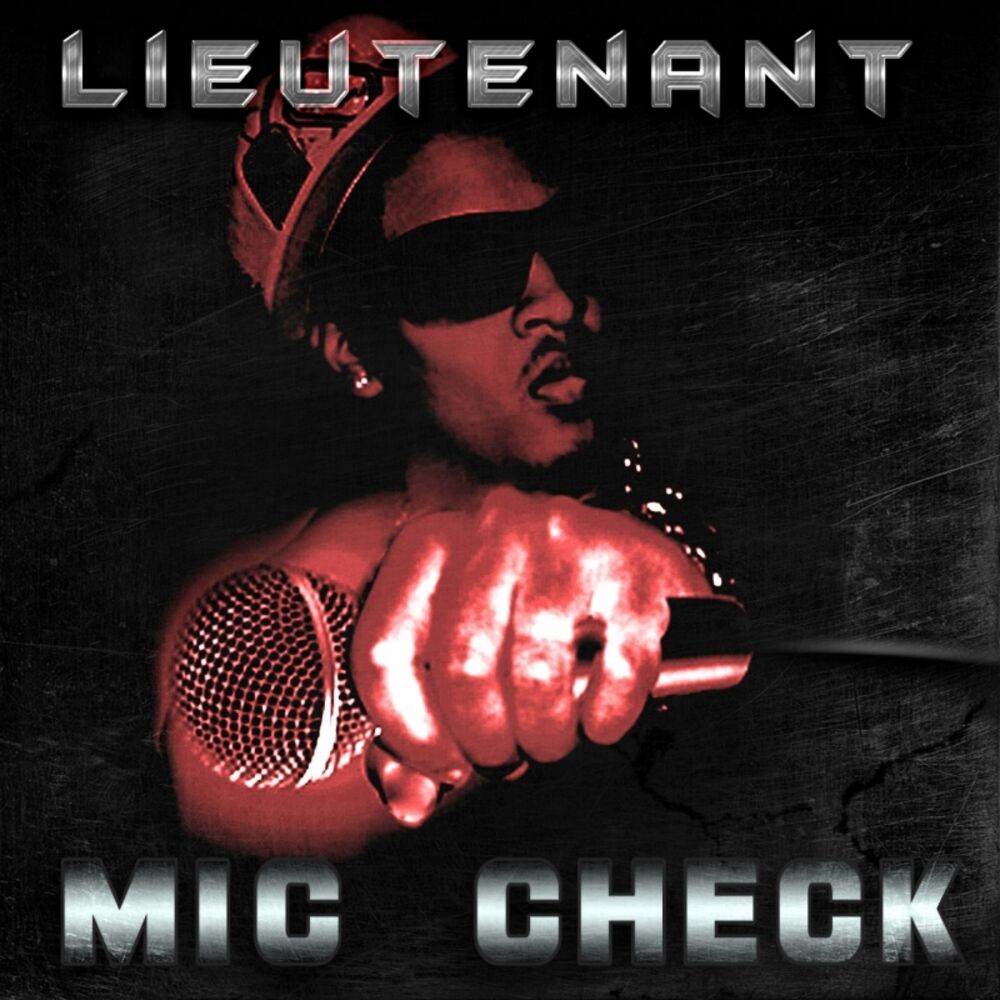 Picture of Mic Check