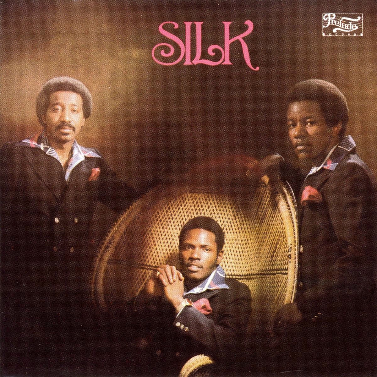 Album cover of Silk