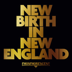 Cover of New Birth in New England