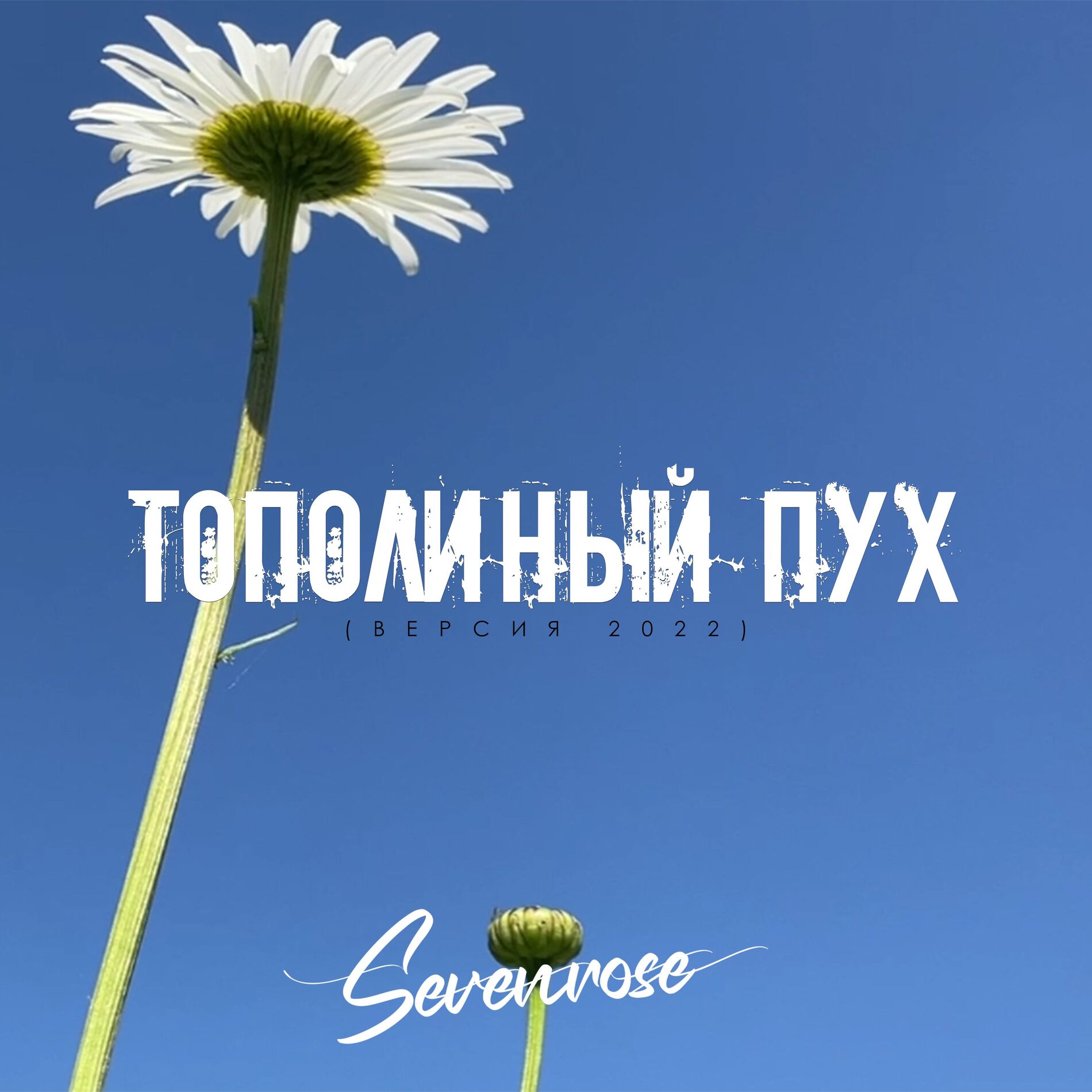 Album cover of Тополиный пух (Версия 2022)