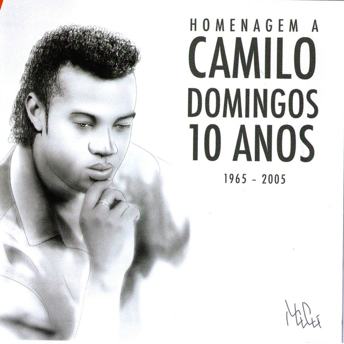 Album cover of Homenagem a Camilo Domingos - 10 Anos