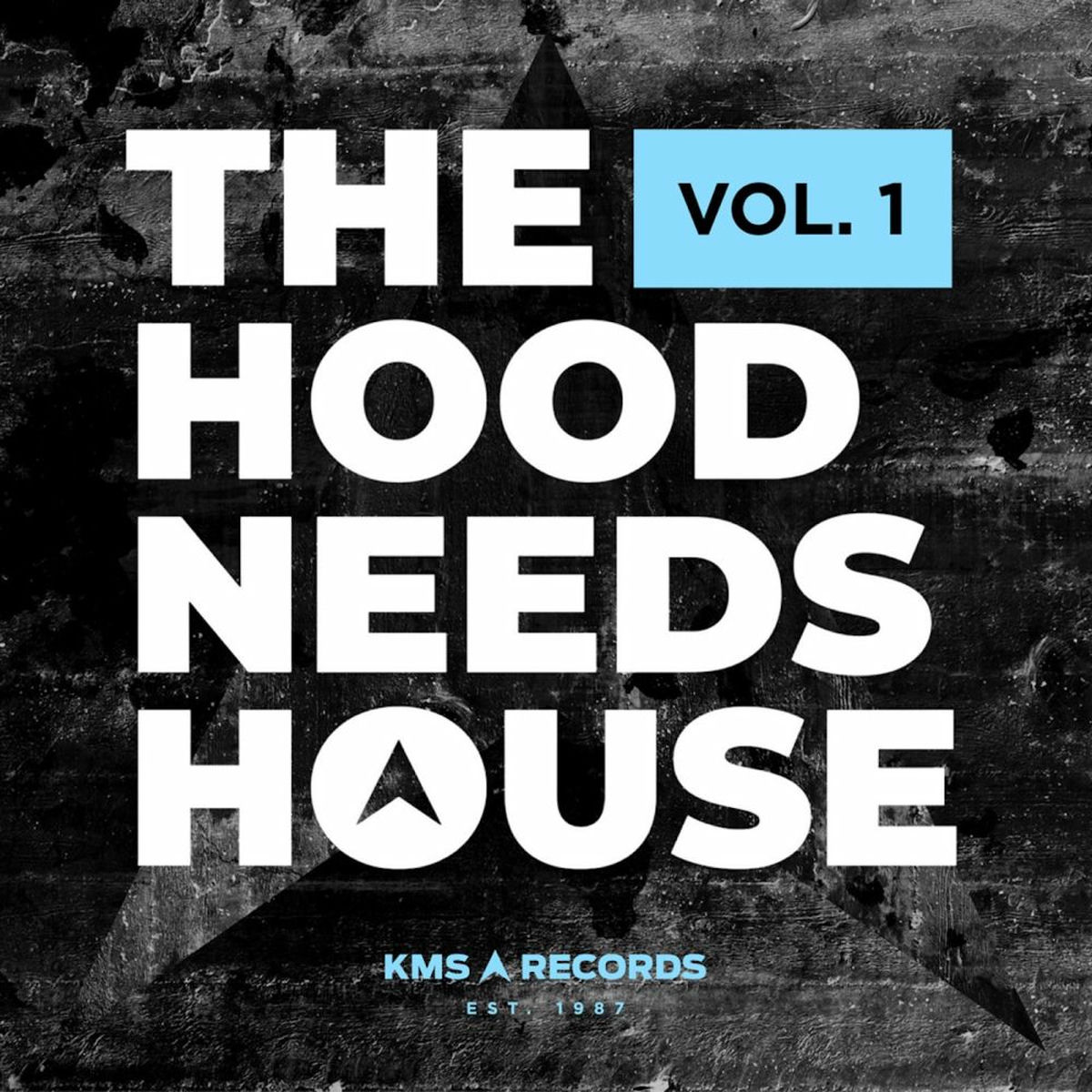 Album cover of The Hood Needs House, Vol. 1