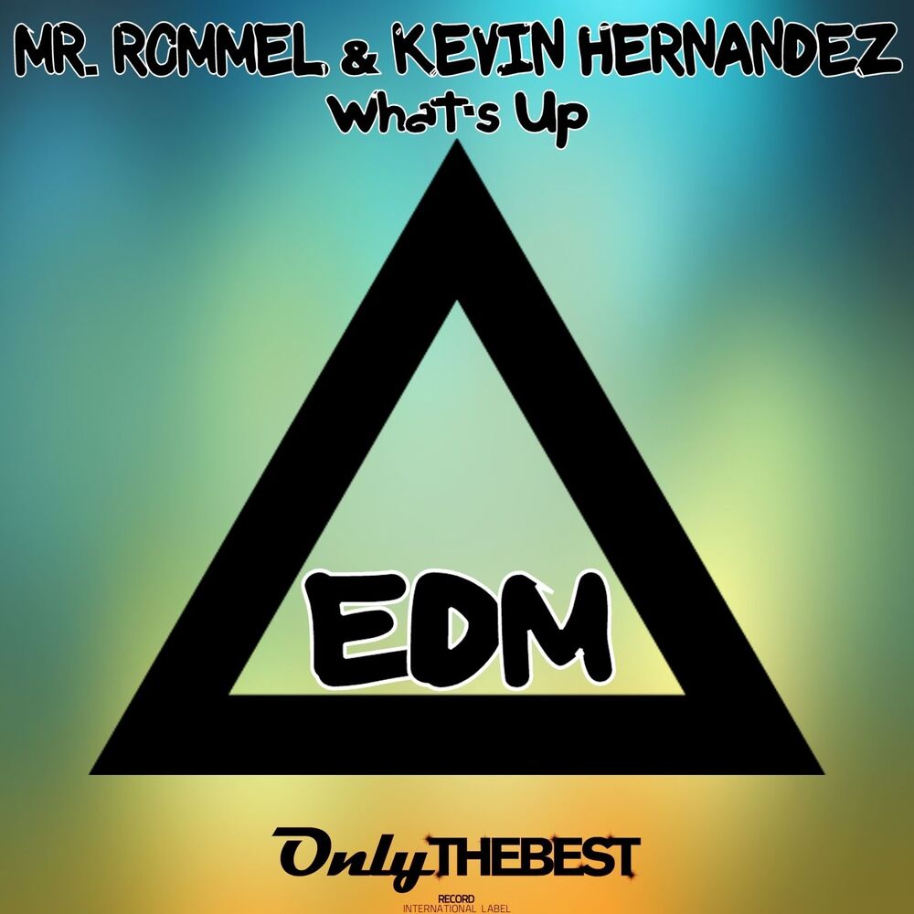 Picture of What's Up (EDM)
