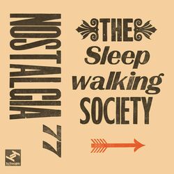 Cover of The Sleepwalking Society