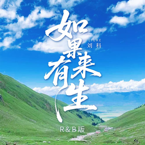如果有来生 (R&B版)