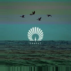 Cover of Packard (Monkey Safari Remix)