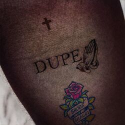 Cover of DUPE
