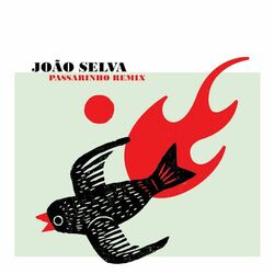 Cover of Passarinho Remix