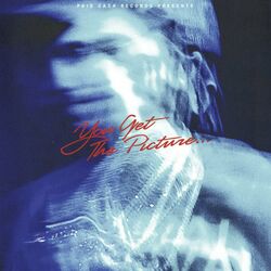 Cover of You Get The Picture