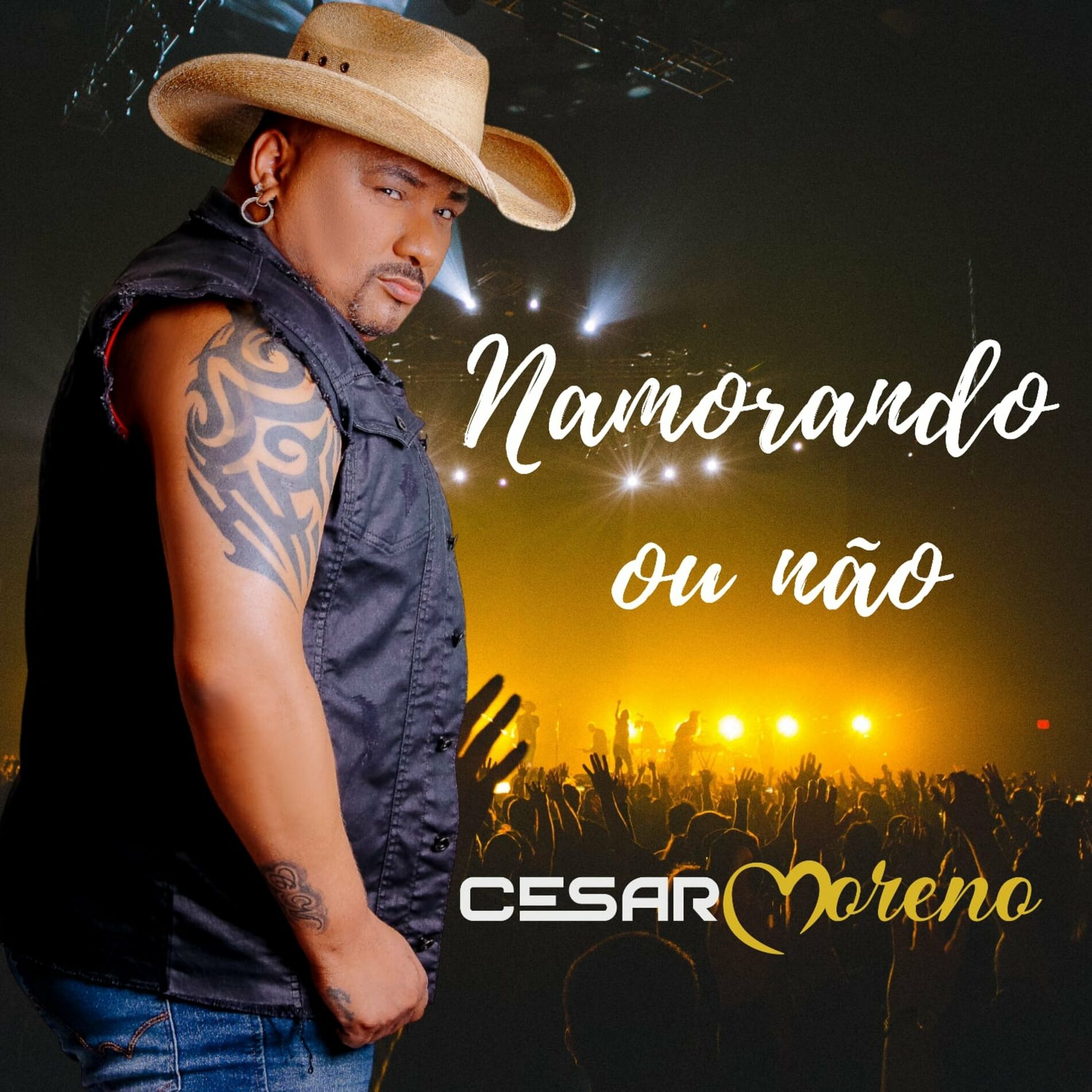 Album cover of Namorando ou Não (Ao Vivo)