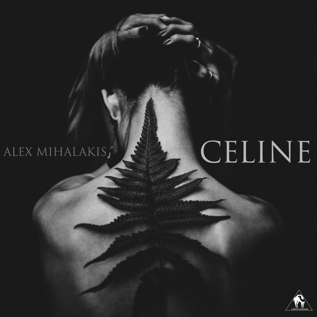 Album cover of Celine