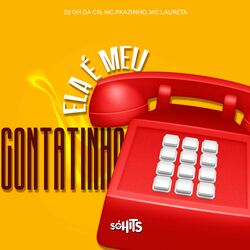 Cover of Ela É Meu Contatinho