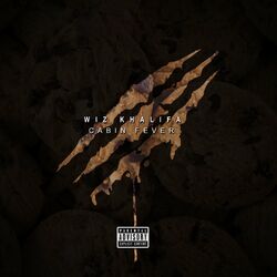 Cover of Cabin Fever 3