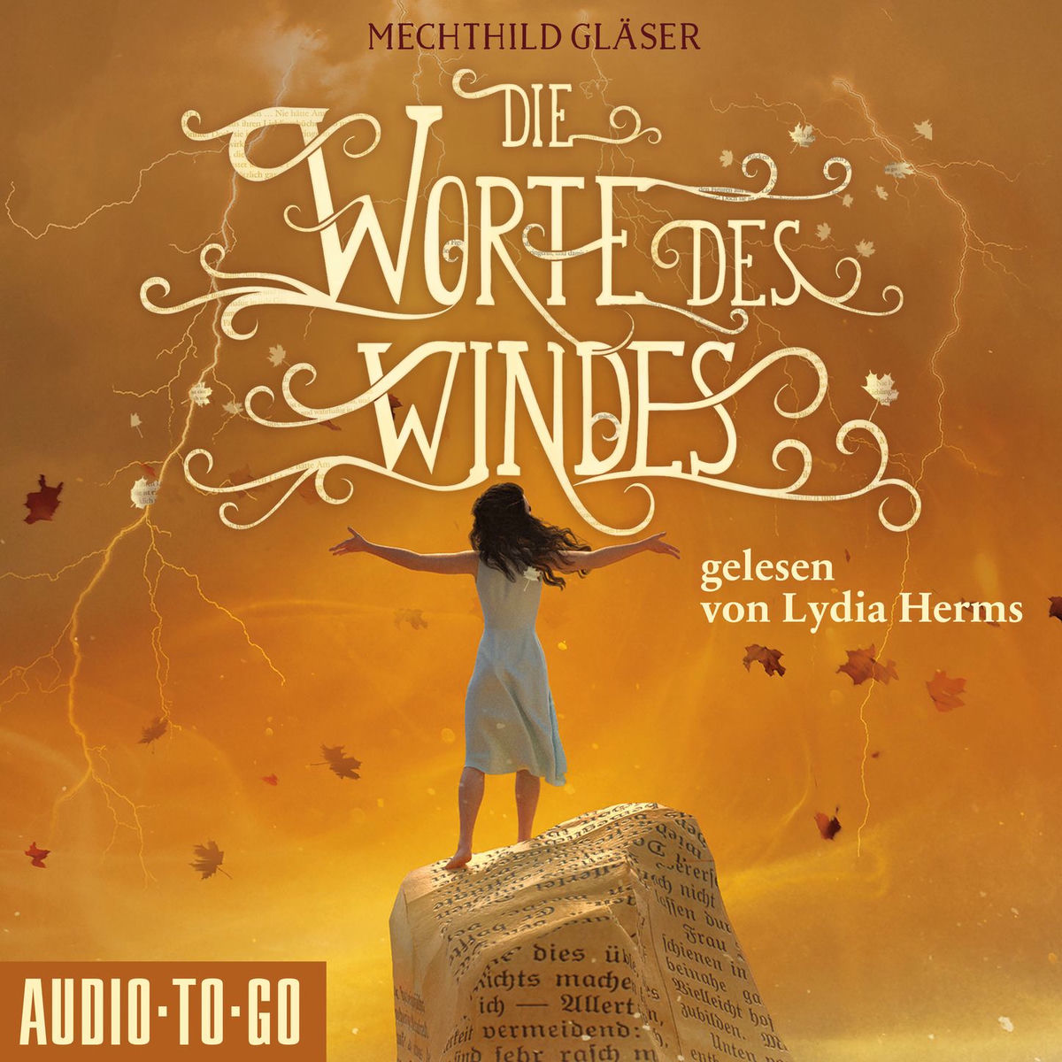 Album cover of Die Worte des Windes (ungekürzt)