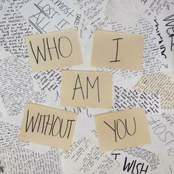 Cover of Who I Am Without You
