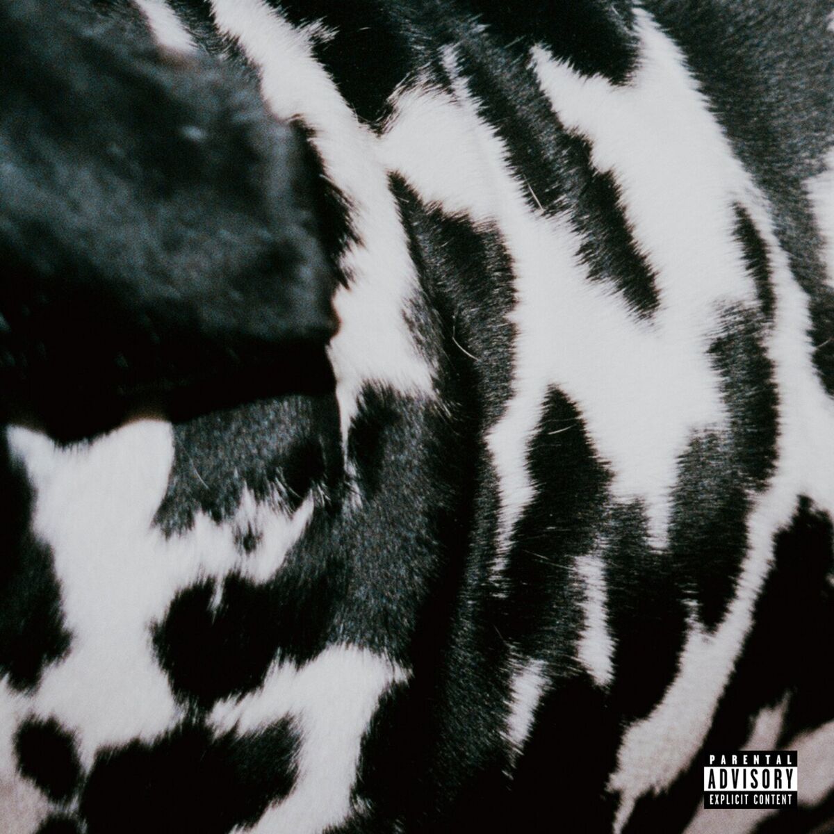 Album cover of A$AP