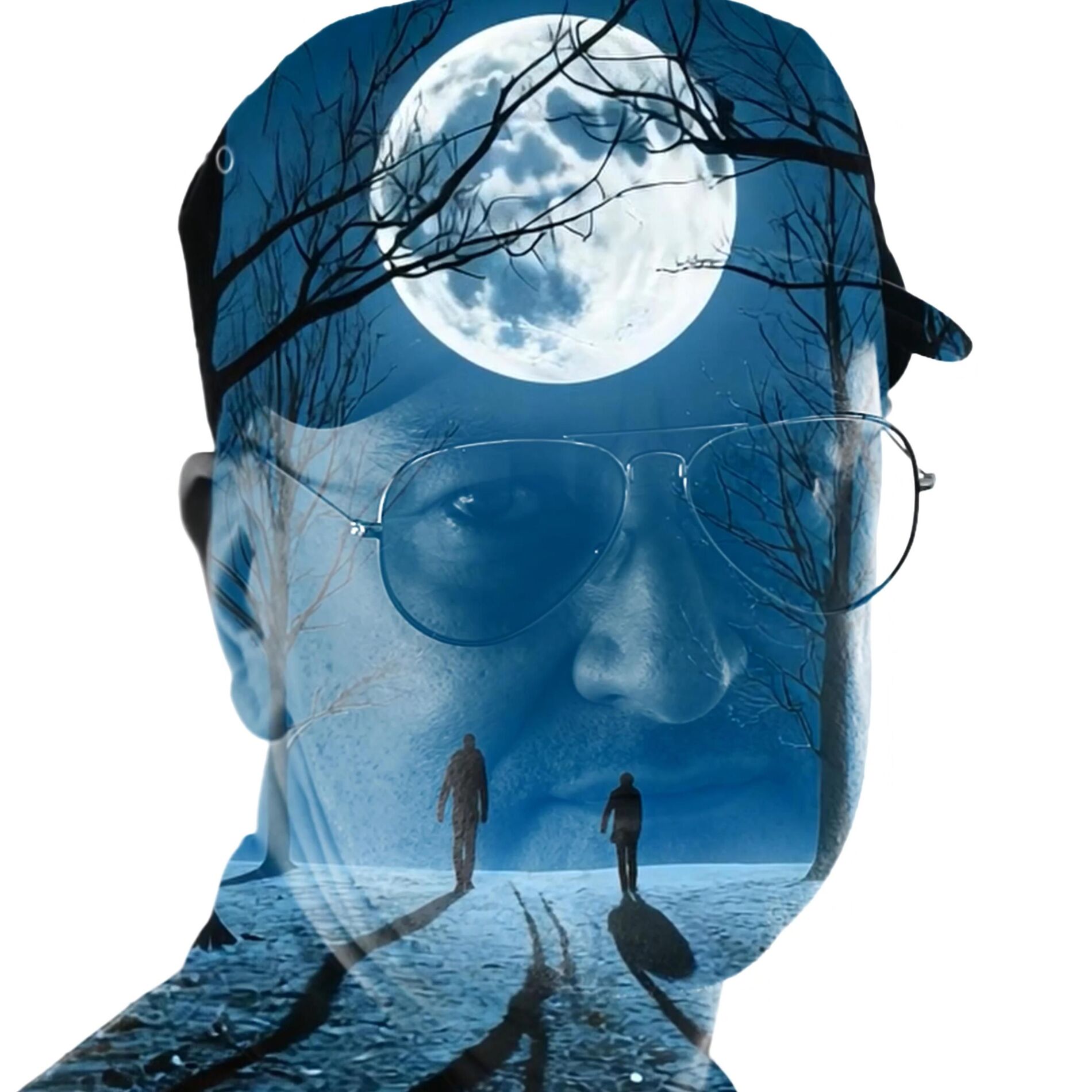Album cover of Moonlight Shadow