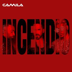 Cover of Incendio
