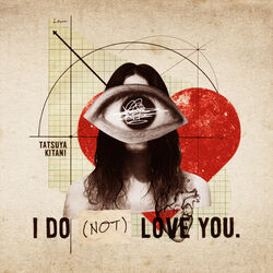 Cover of I DO (NOT) LOVE YOU.