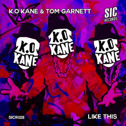 Cover of Like This
