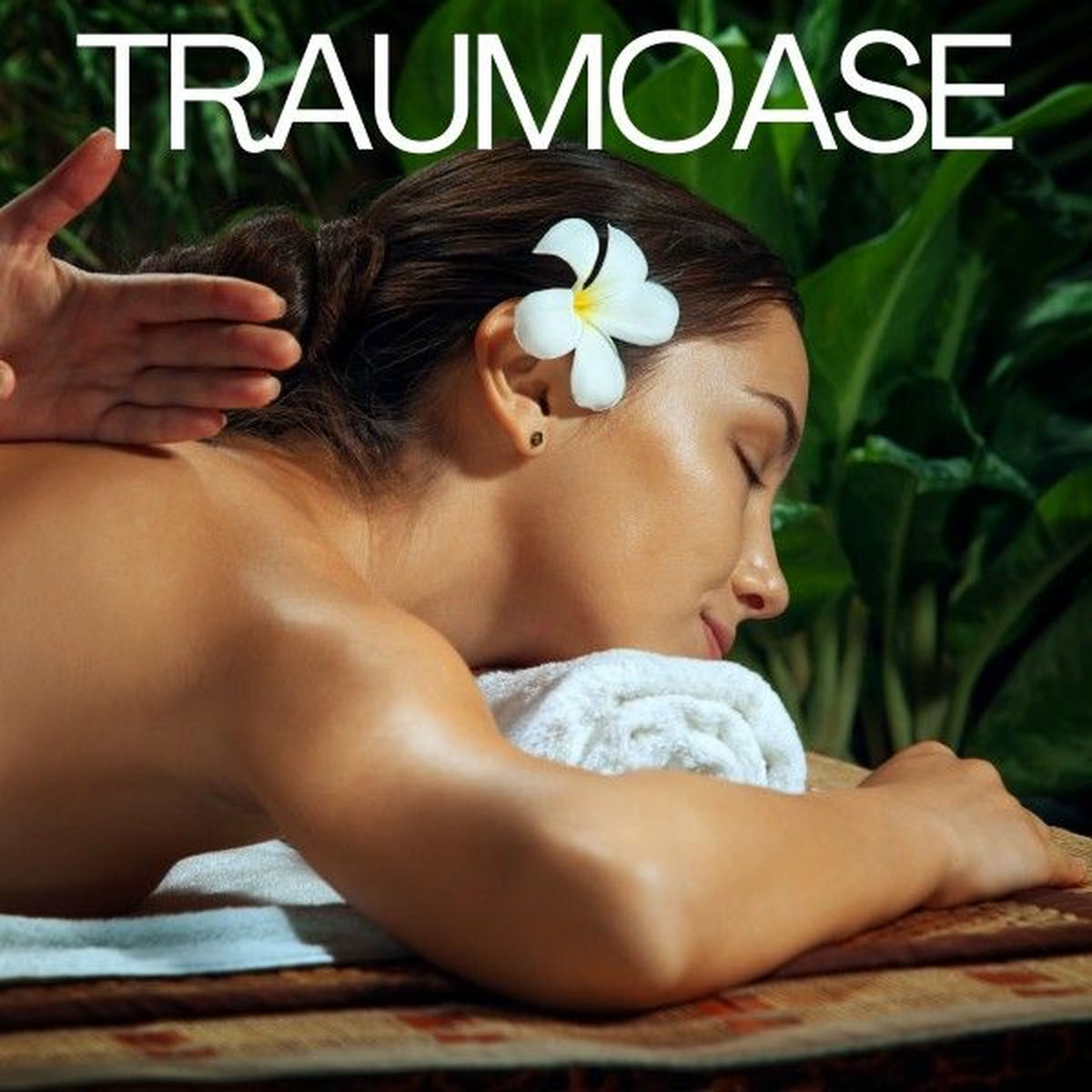 Album cover of Traumoase