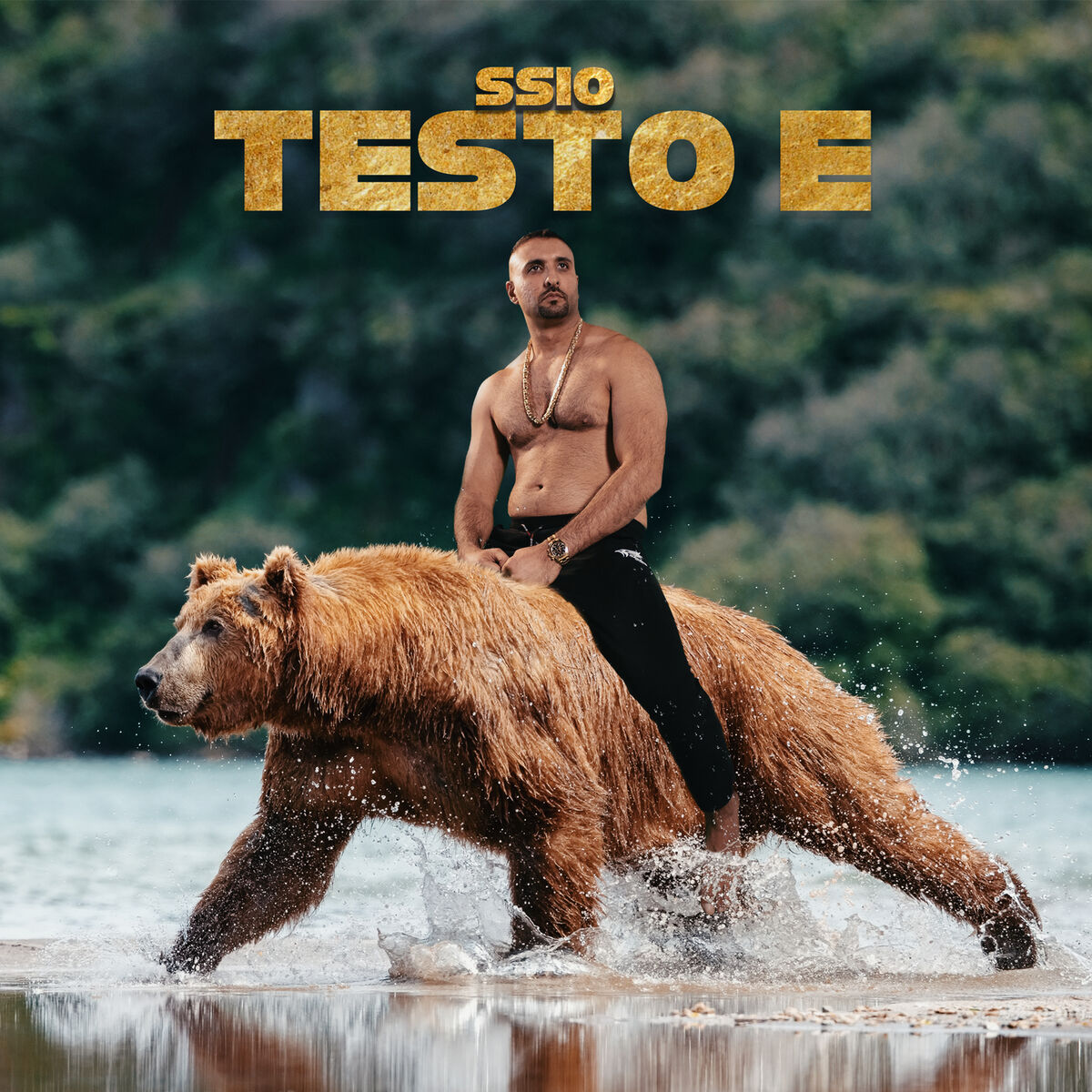 Album cover of Testo E
