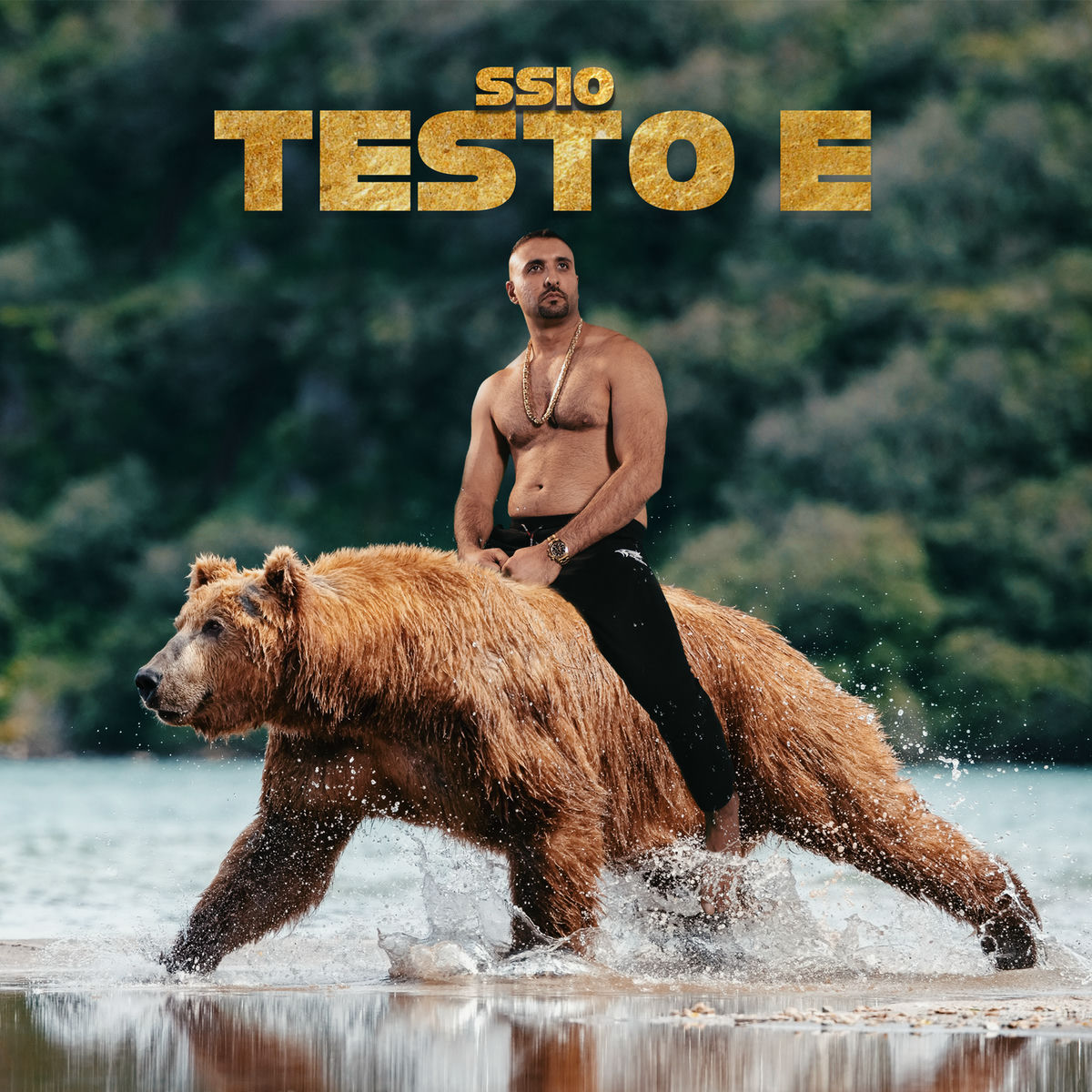 Album picture of Testo E