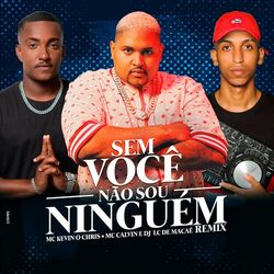 Cover of Sem Você Não Sou Ninguém (Remix)
