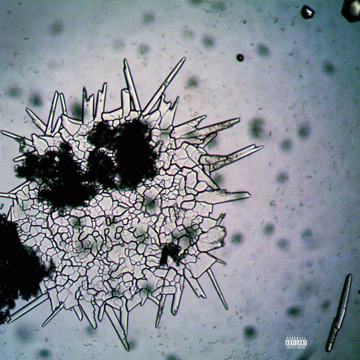 Album cover of farbe