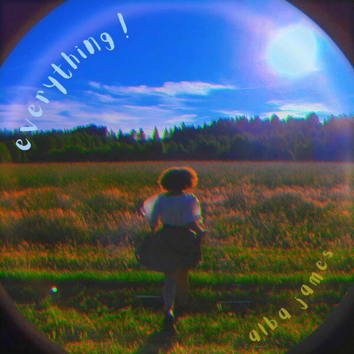Album cover of Everything !