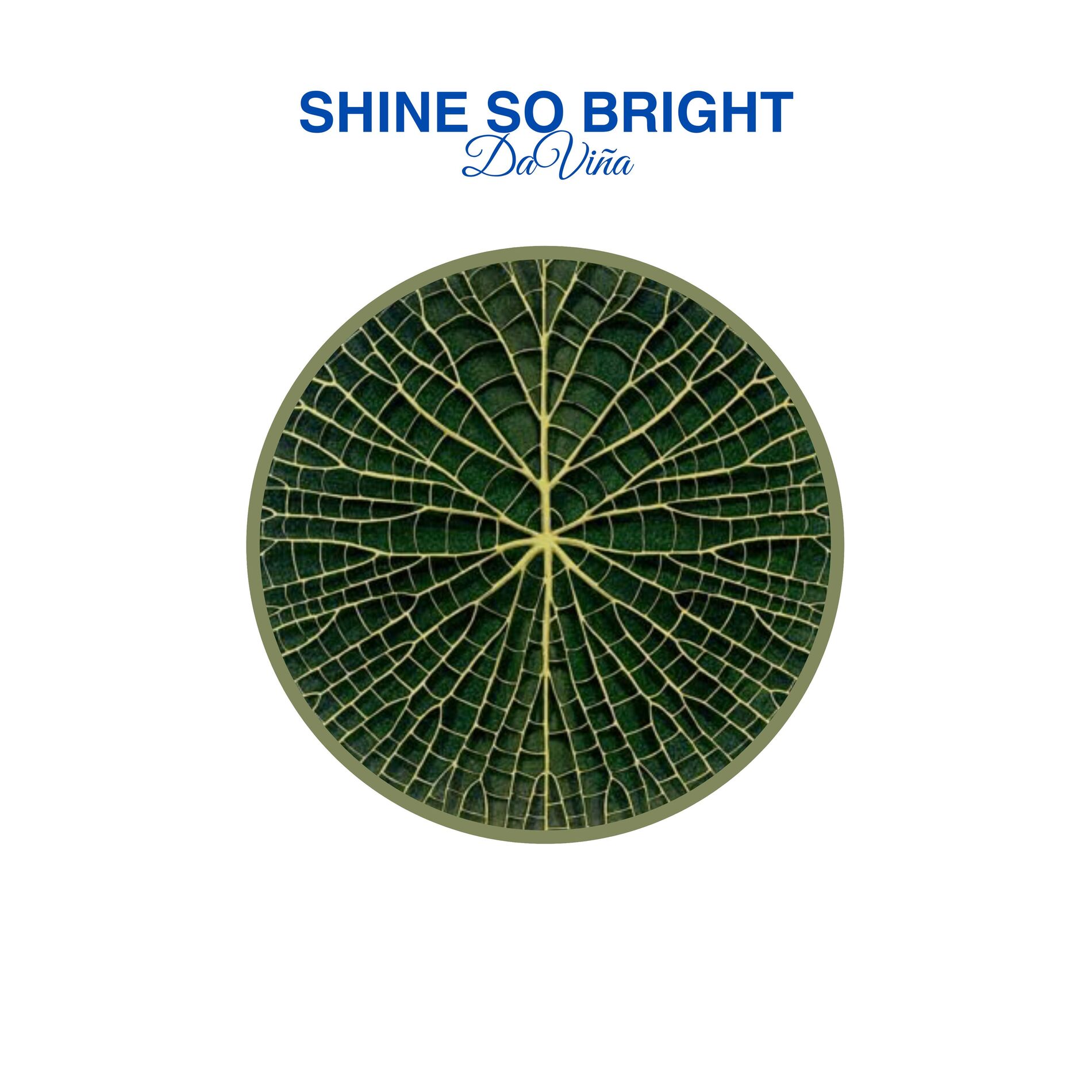 Album cover of Shine So Bright