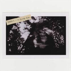 Cover of A Dying Eye