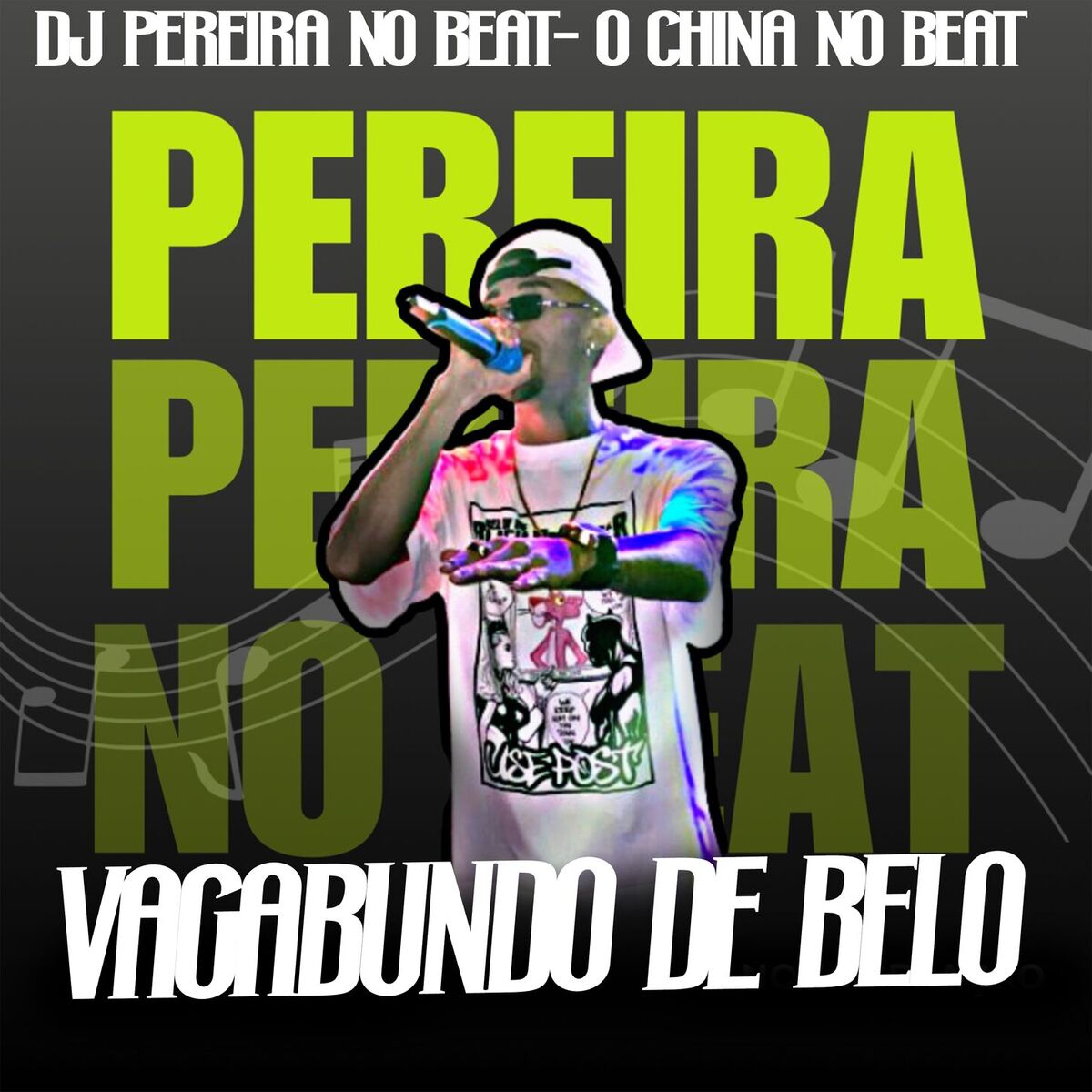 Album cover of Vagabundo de Belo
