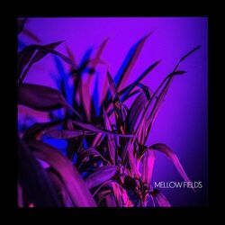 Cover of False Positive