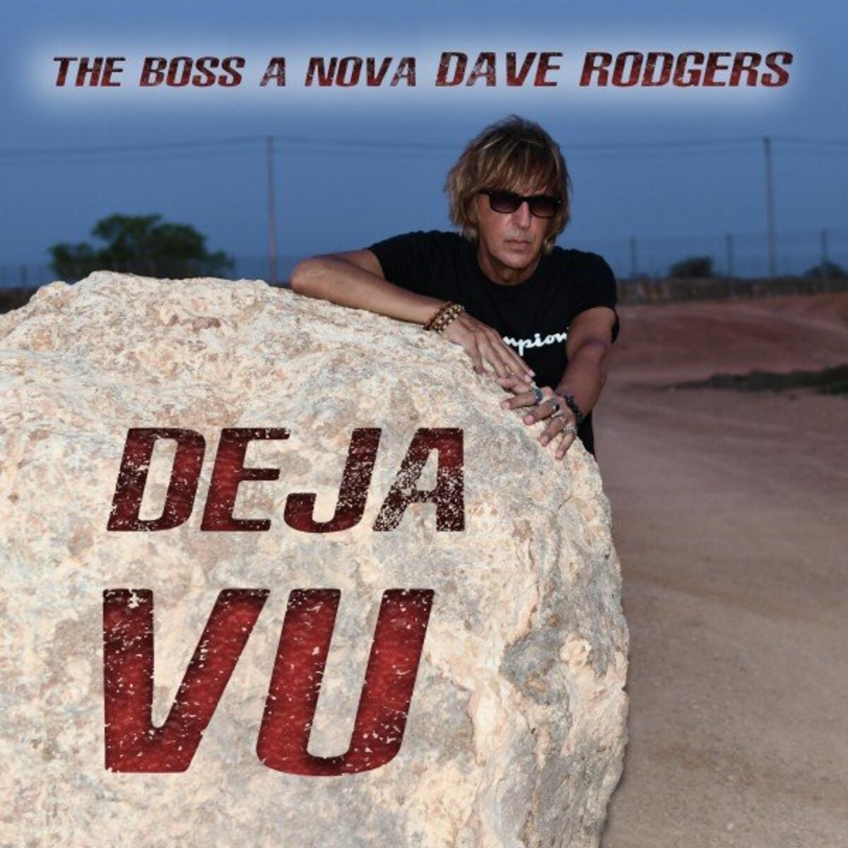 Album cover of Deja Vu the Boss a Nova