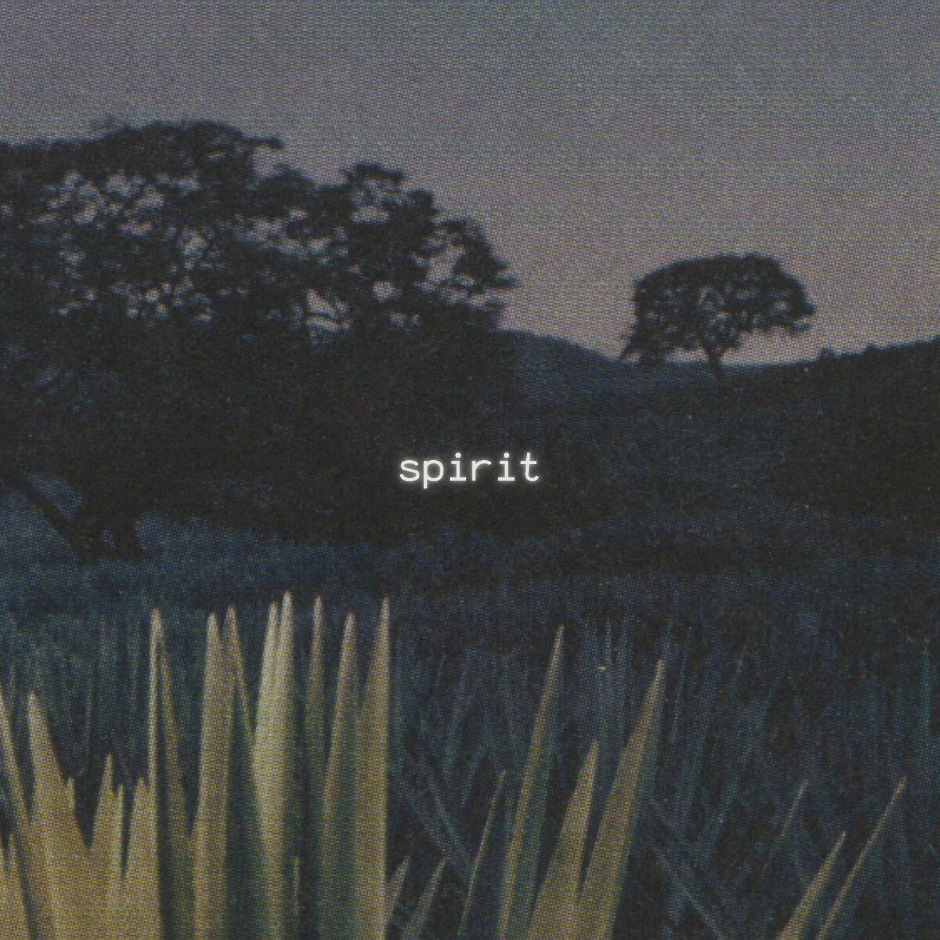 Album cover of spirit