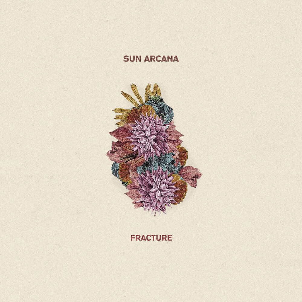 Picture of Fracture