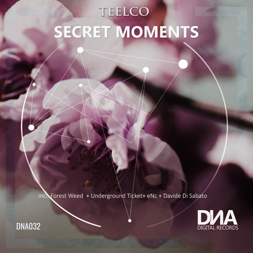Picture of Secret Moments